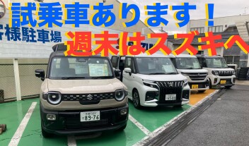 試乗車あります！